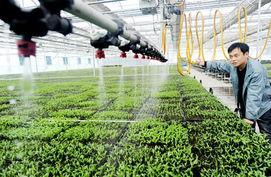 花棚與溫室必備的高清圖片資源推薦