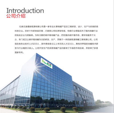 迪爾曼集團 誠邀全球伙伴，共創太陽能與計算機軟件科技新未來